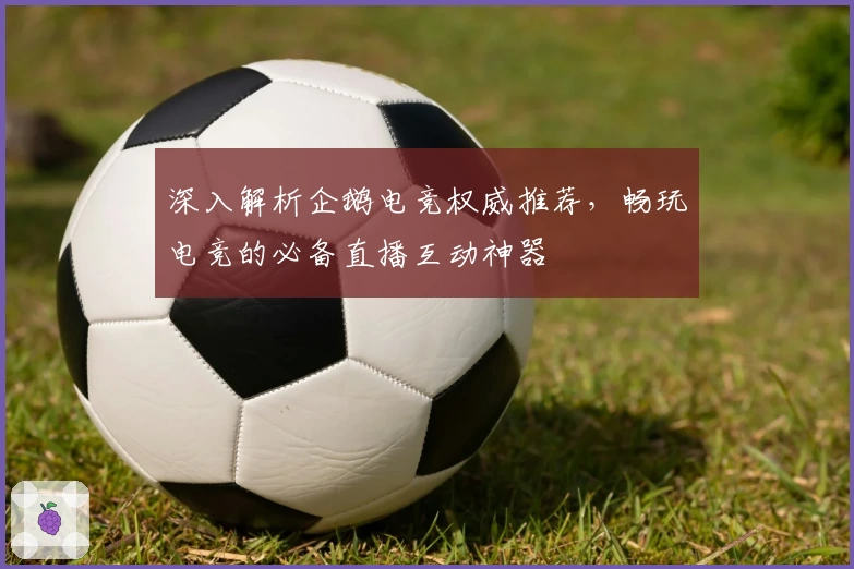 深入解析企鹅电竞权威推荐，畅玩电竞的必备直播互动神器