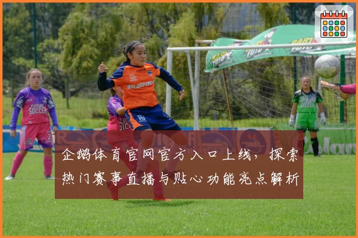 企鹅体育官网官方入口上线，探索热门赛事直播与贴心功能亮点解析