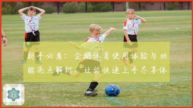 新手必看：企鹅体育使用体验与功能亮点解析，让你快速上手尽享体育激情