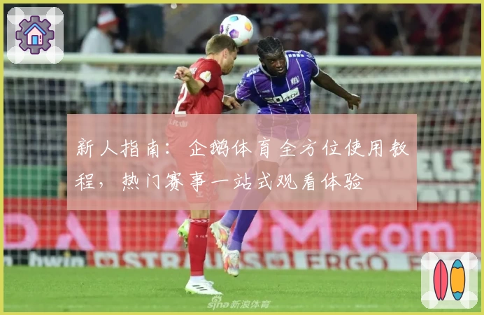 新人指南：企鹅体育全方位使用教程，热门赛事一站式观看体验