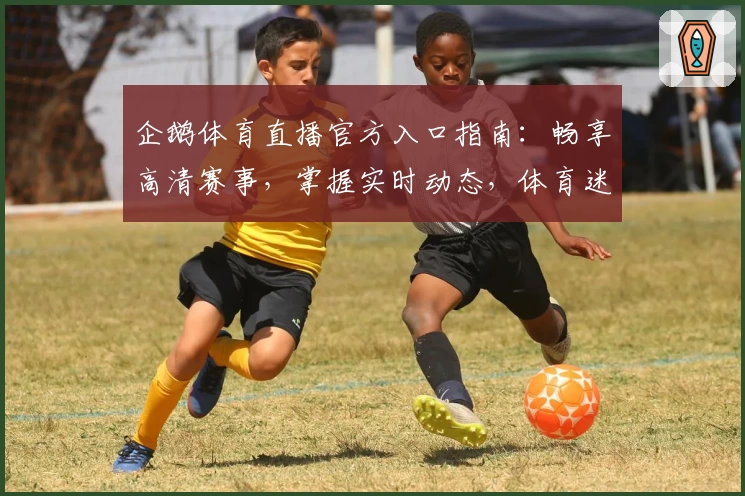 企鹅体育直播官方入口指南：畅享高清赛事，掌握实时动态，体育迷不得错过的观赛体验！