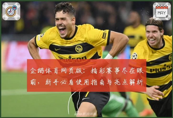 企鹅体育网页版：精彩赛事尽在眼前，新手必看使用指南与亮点解析