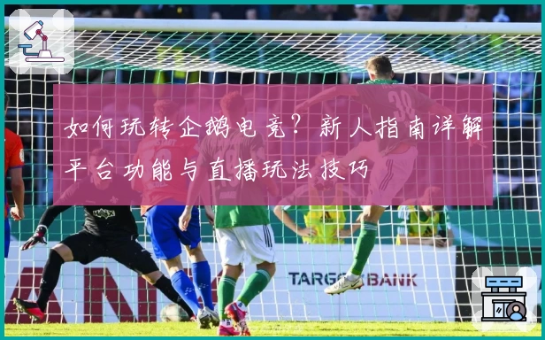 如何玩转企鹅电竞？新人指南详解平台功能与直播玩法技巧