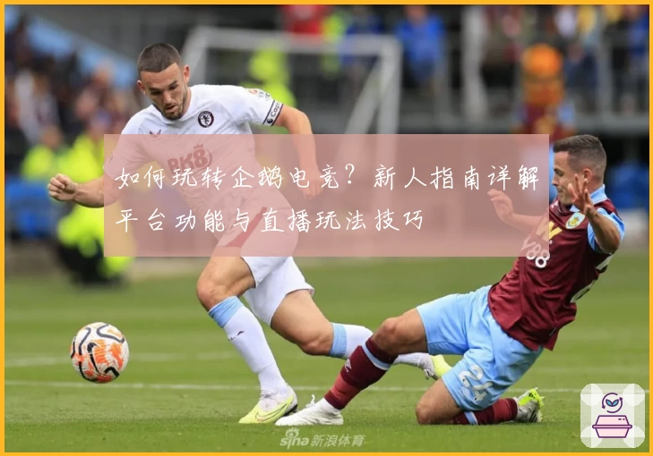 如何玩转企鹅电竞？新人指南详解平台功能与直播玩法技巧