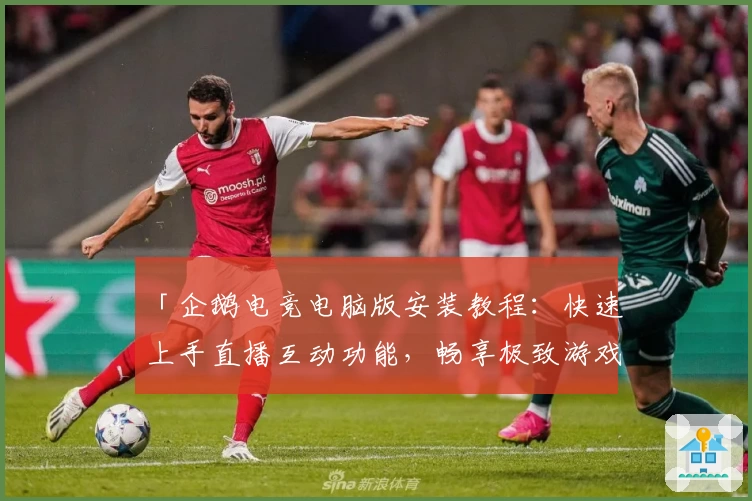 「企鹅电竞电脑版安装教程：快速上手直播互动功能，畅享极致游戏体验」