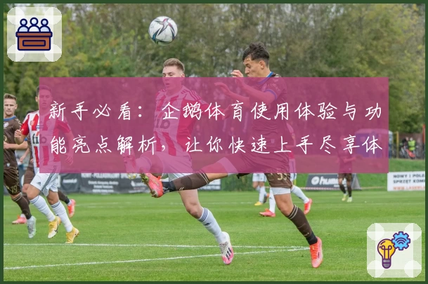 新手必看：企鹅体育使用体验与功能亮点解析，让你快速上手尽享体育激情